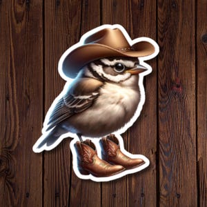 Cadeau amusant représentant un oiseau de l'ouest avec des bottes de cow-boy - Vinyle résistant à l'eau pour ordinateur portable, bouteille, bloc-notes, autocollant découpé