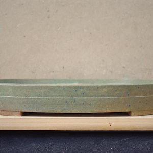 May include: A round, shallow, ceramic bonsai pot in a muted green colour. The pot has a textured surface with subtle blue speckles and a light brown base. It sits on a wooden surface against a neutral background.