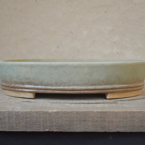 Bonsai Pot 10 inches oval glazed green tan cream deciduous tropical handmade