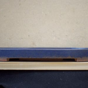 Könnte beinhalten: Ein blauer Bonsai-Topf aus Keramik mit rechteckiger Form und abgerundeten Ecken. Der Topf hat eine dunkelblaue Glasur auf der Oberseite und den Seiten, mit einem rotbraunen, unglasierten Rand. Er steht auf einer Holzoberfläche.