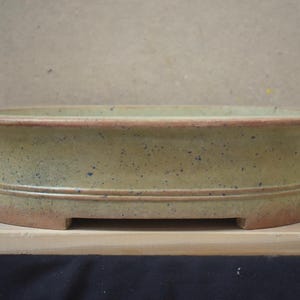 May include: An oval-shaped ceramic bonsai pot with a speckled light green and tan glaze. The exterior features a horizontal recessed line detail near the base, a wide flared rim, and a terracotta-coloured bottom edge with two small feet.