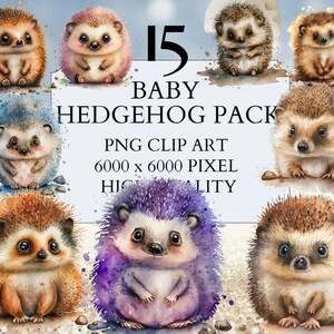 15 bébé hérisson Pack Clipart | PNG | Utilisation commerciale complète | Clipart animaux | Clipart de hérisson | Clipart aquarelle | Téléchargement instantané