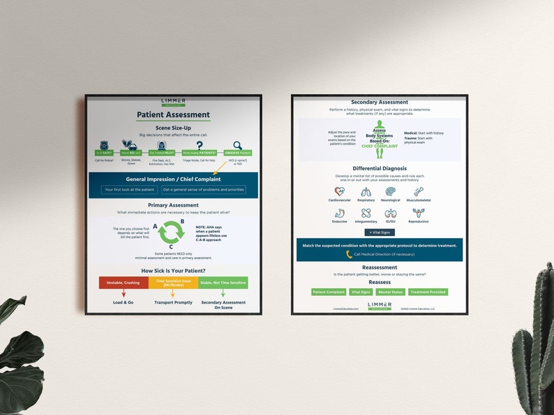 patient-assessment-flow-chart-emt-classroom-poster-set-etsy