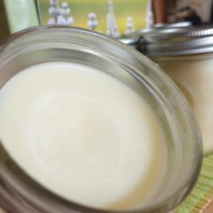 Organic Natural Bug Gone Repellent