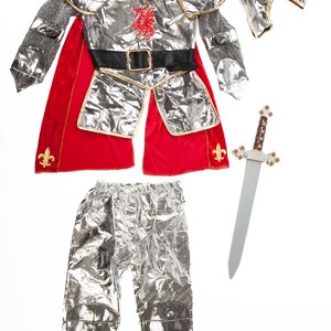 Knight in Shining Armor Costume