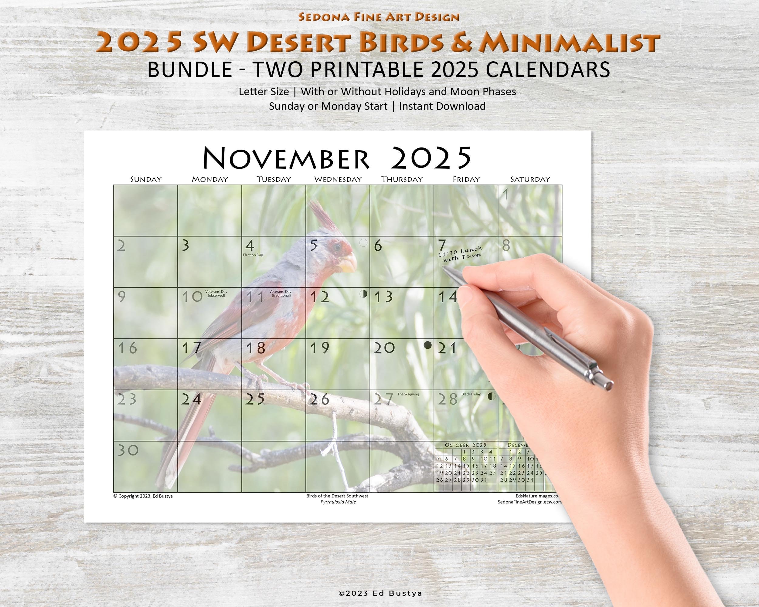 2025 Bird Art Calendar and Blank Calendar, sunday-start or Monday-start