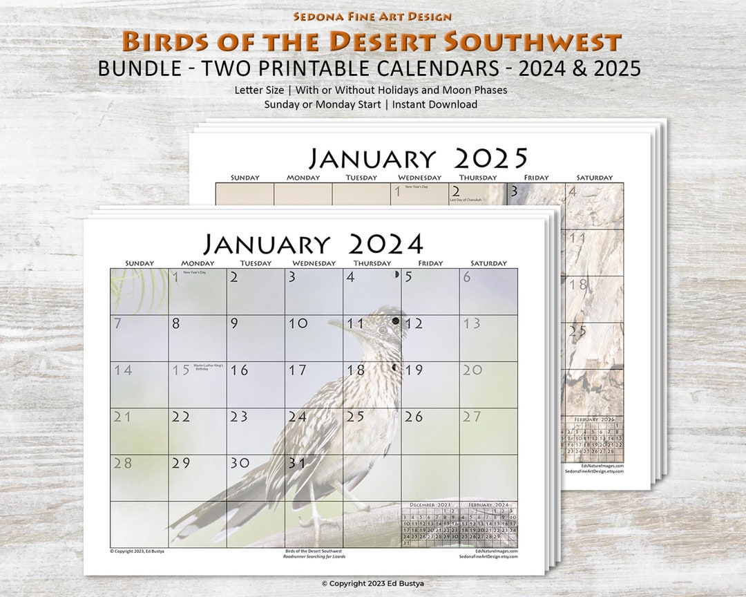 Printable 2025 and 2025 Bird Art Calendar, Bird Lover Gift for Him or