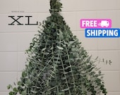 Fresh Eucalyptus Shower Bundle, Eucalyptus Shower Bundle, Indoor Eucalyptus Cuttings, Eucalyptus Plant, Eucalyptus Decor, Eucalyptus Bundle