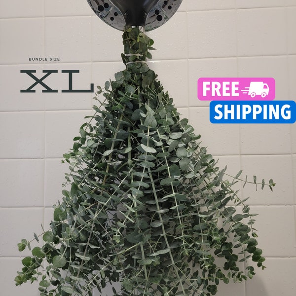 Fresh Eucalyptus Shower Bundle, Eucalyptus Shower Bundle, Indoor Eucalyptus Cuttings, Eucalyptus Plant, Eucalyptus Decor, Eucalyptus Bundle