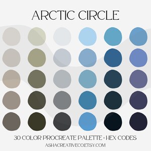 Arctic Circle Procreate Color Palette | Color swatches |For Digital Planning| HEX Codes | Digital Download |GoodNotes