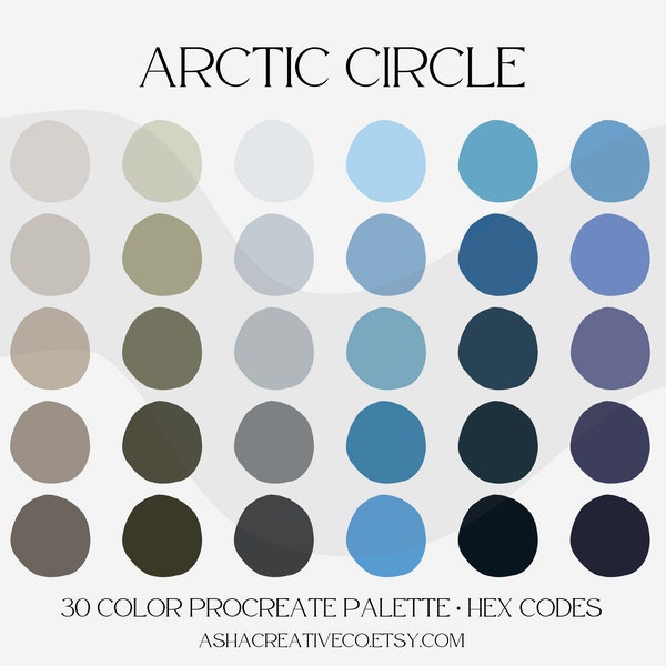 Arctic Circle Procreate Color Palette | Color swatches |For Digital Planning| HEX Codes | Digital Download |GoodNotes