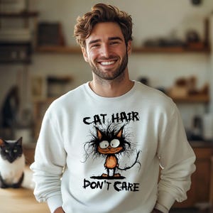 Cat Hair Don't Care Sweatshirt, Funny Cat Cartoon Crewneck, Cat Lover Gift, Crazy Cat Lady Jumper, Cute Cat Sweater, Feline Pet Owner Top