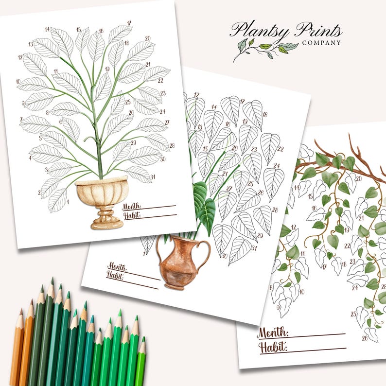 May include: Three printable colouring pages featuring different plant designs. Each page has a numbered outline of a plant with a space to write the month and habit. The plants include a large leafy plant in a pot, a smaller leafy plant in a pot, and a vine.