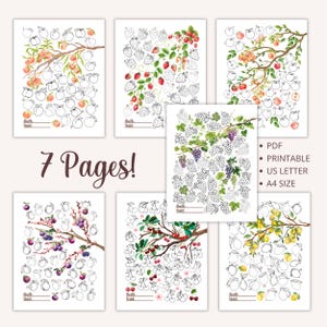 May include: Seven printable pages of black and white fruit-themed habit trackers. Each page features a different fruit, such as peaches, strawberries, grapes, plums, cherries, and lemons. The pages are designed for US Letter and A4 size paper.