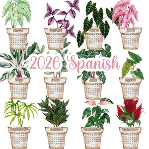 Houseplant 2026 Printable Desk Calendar, Downloadable 2026 Calendar, 2026 Transparent PNG Calendar, Downloadable PDF Printable Calendar PNG image 3