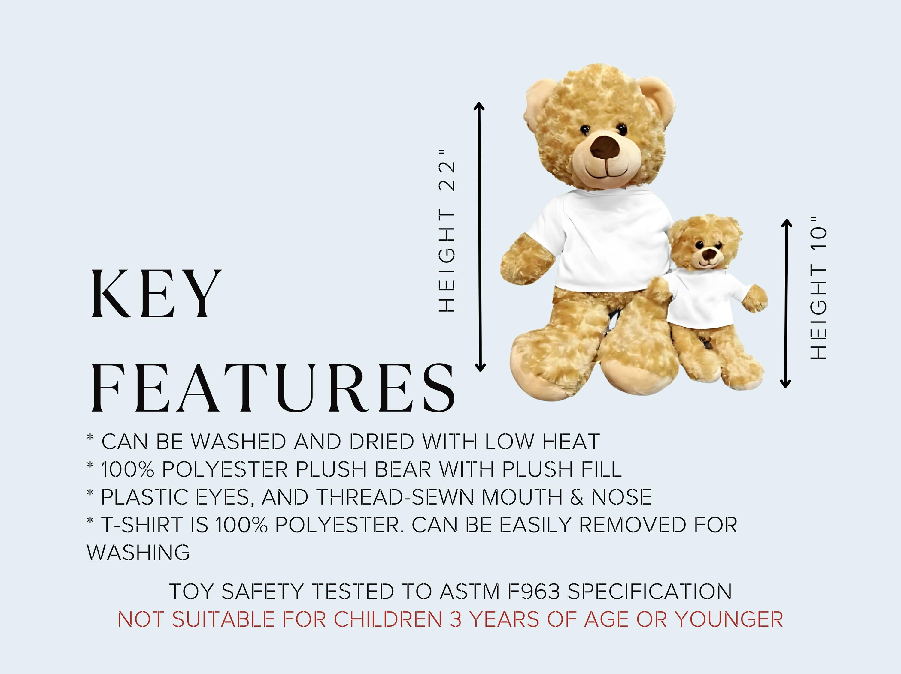 Personalized Memorial Teddy Bear With Photo Shirt - Sympathy Gift - Etsy
