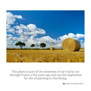 May include: A field of golden wheat with three trees and three round hay bales. The sky is blue with white clouds.
