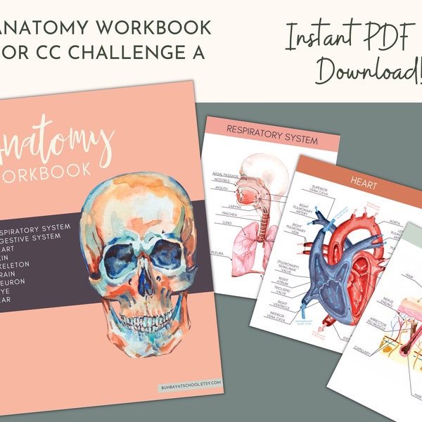 Anatomy Workbook for CC Challenge A Research Strand Science