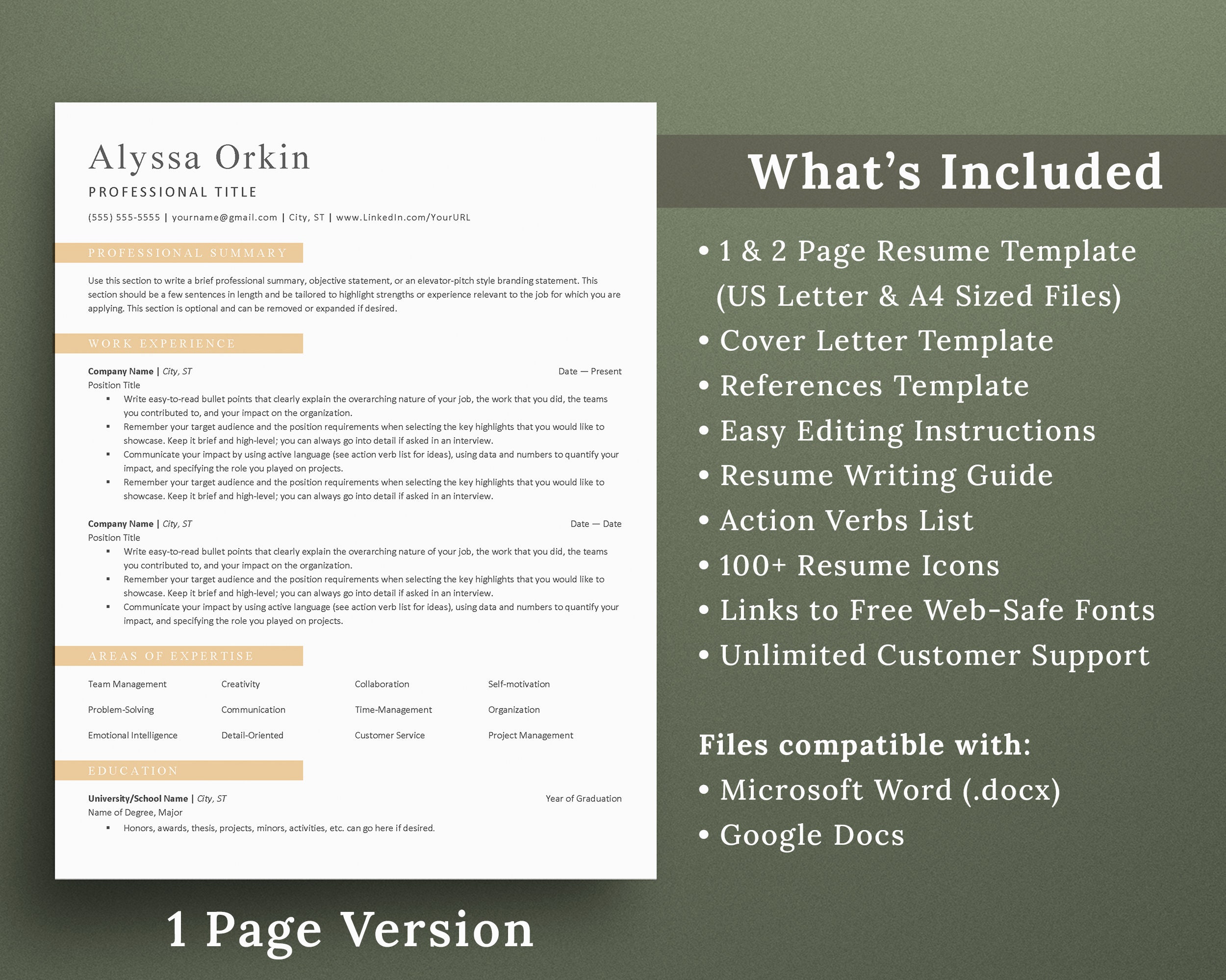 CV Resume Template Professional Minimalist ATS Design for Google Docs & Word