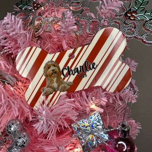 Personalized Bone Ornament Pet Ornament Christmas Dog Ornament