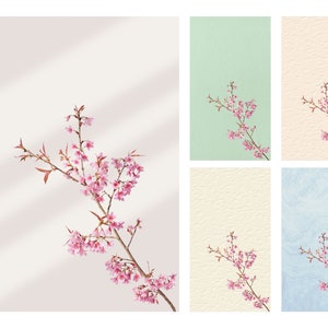 Fine art textures BUNDLE, Fine Art Portrait Texture, Photography Digital Background Overlays, Photoshop Overlays Photo editing.