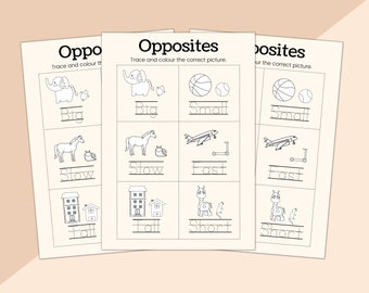 Worksheet, Preschool Worksheets, Editable Worksheets, Homeschool Worksheets, Activities, Preschool Printables.