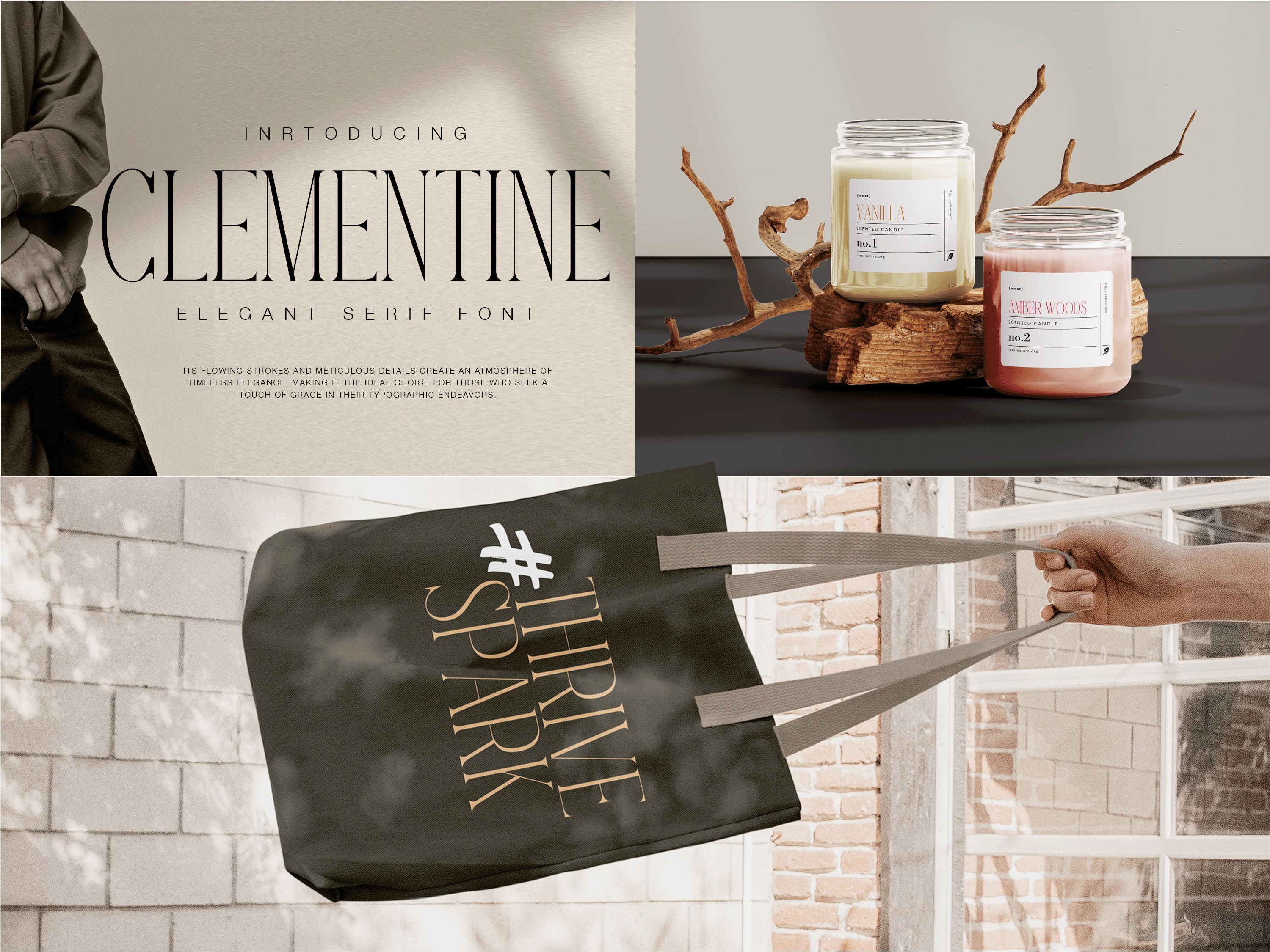 Modern Serif Font Bundle, Logo Fonts, Wedding Fonts, Luxe Fonts ...