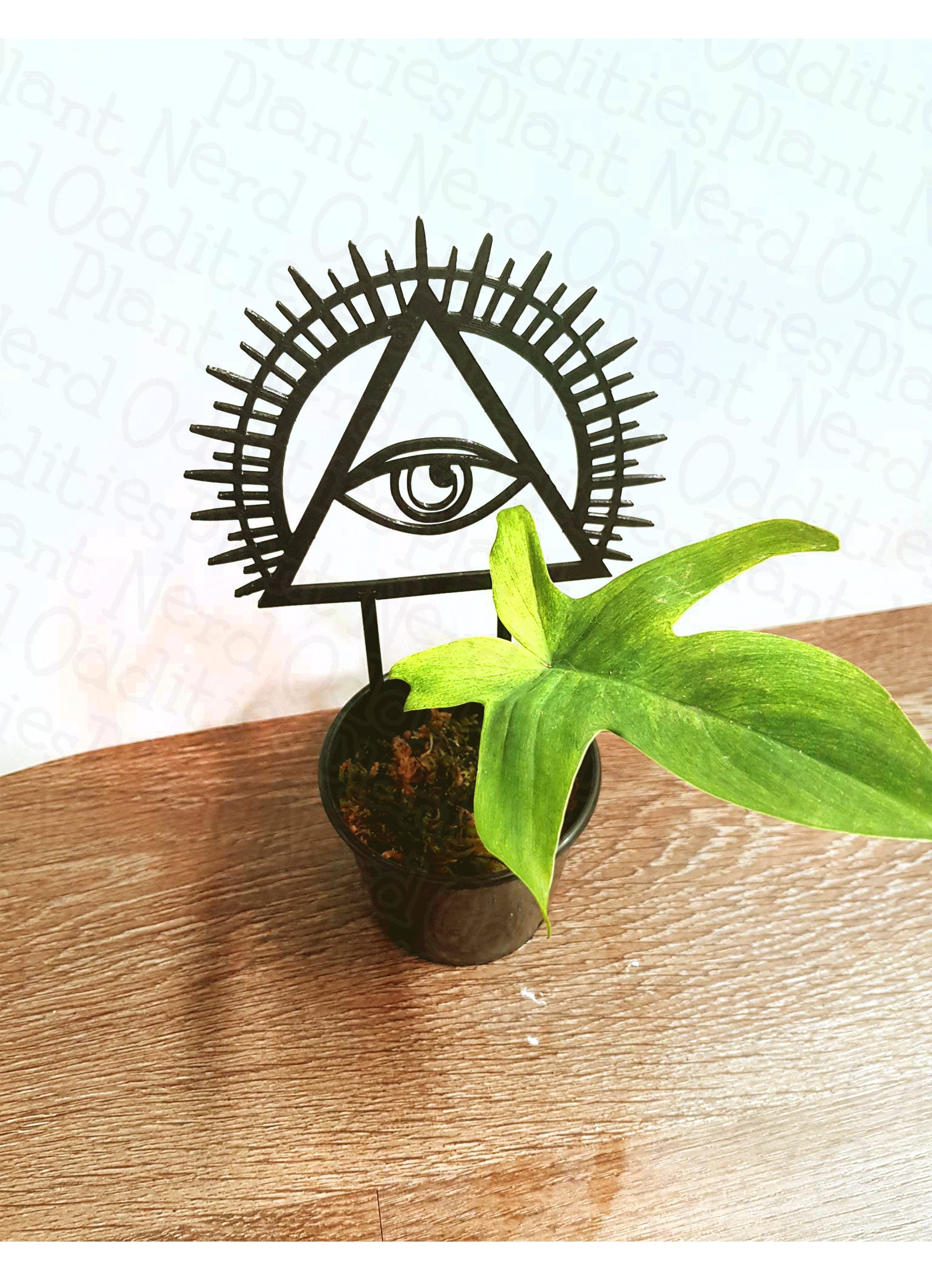Illuminati Indoor Plant Garden Trellis Stake Homeware Gift Etsy