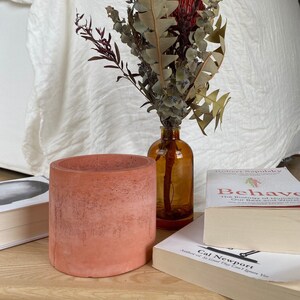 May include: A terracotta coloured concrete planter with a dried floral arrangement in a clear glass bottle. The arrangement includes dried eucalyptus, red flowers, and other dried foliage. The planter is sitting on a stack of books with the titles "Behave: The Biology of Humans at Our Best and Worst" by Robert Sapolsky and "So Good They Can't Ignore You" by Cal Newport.