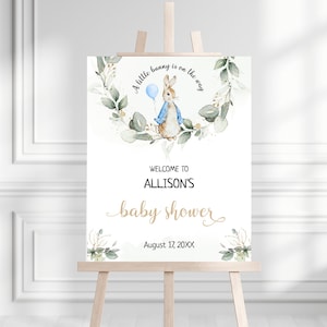 Peter Rabbit Baby Shower Welcome Sign, Editable Flopsy Bunny Rustic Watercolor Decor, Rustic, Blue Balloon Boy Bunny, Digital, BS8