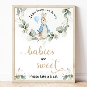 Peter Rabbit Baby Shower Babies are Sweet Sign, Editable Flopsy Bunny Rustic Watercolor Decor, Rustic, Blue Balloon Boy Bunny, Digital, BS8