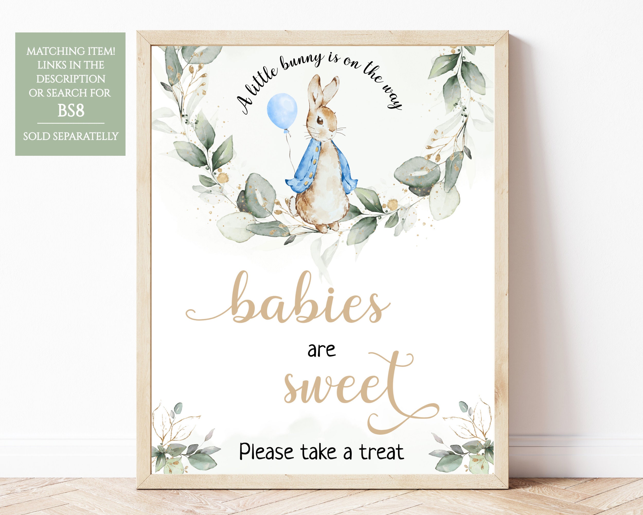 Peter Rabbit Baby Shower Diaper Raffle Sign, Editable Flopsy Bunny ...