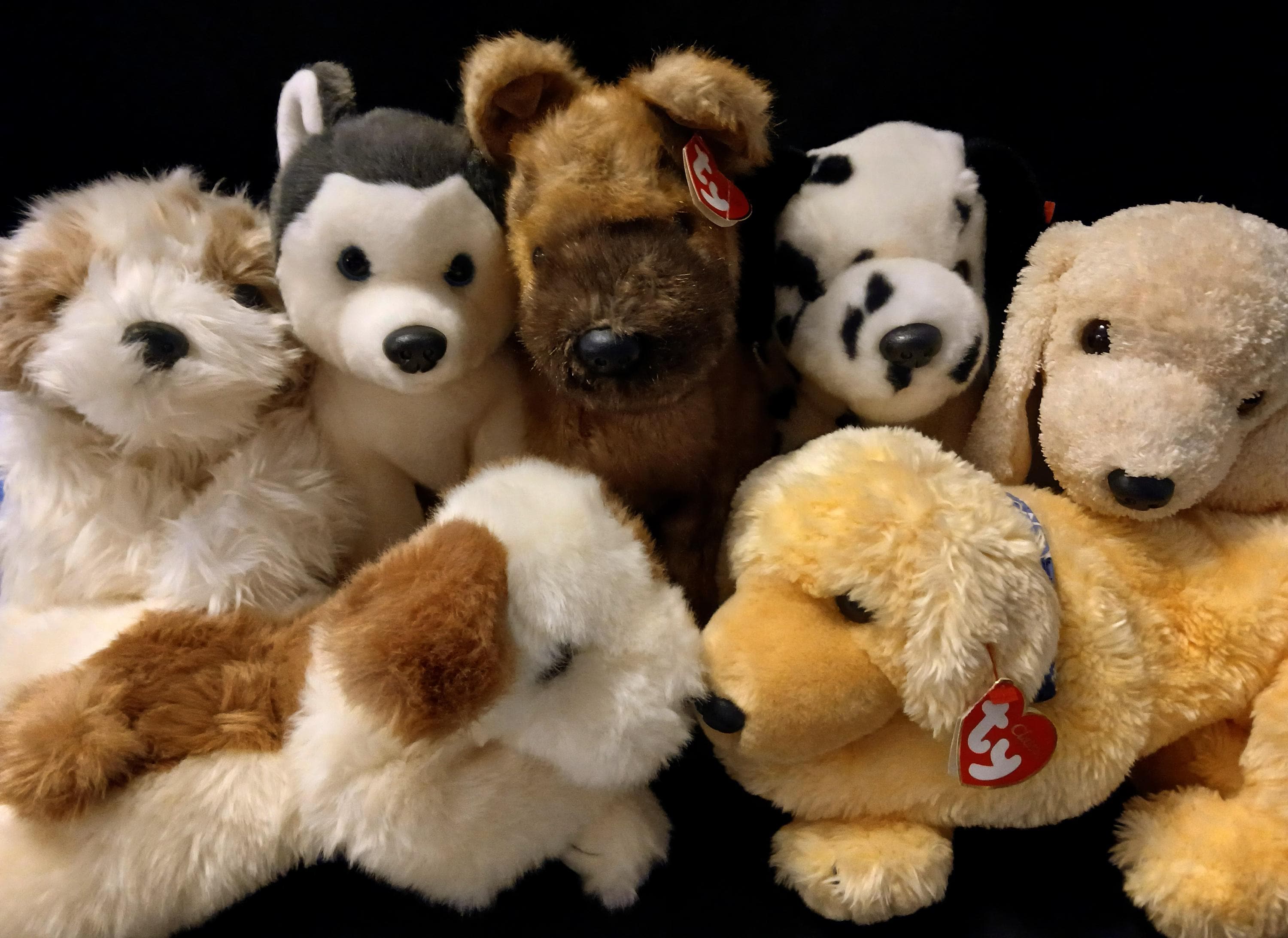 【アメリカ雑貨】ヴィンテージ　犬のぬいぐるみ　Tyクラシック　シャギードッグ Ty Dogs Vintage Stuffed Classics & Beanie Buddies - Etsy