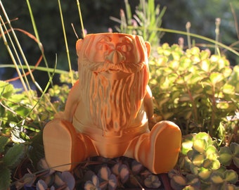Gnome amical/nain de jardin