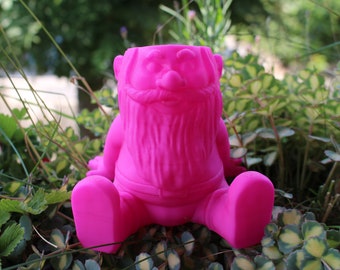 Gnome amical/nain de jardin