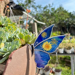 May include: A blue stained glass butterfly with yellow sunflower and floral accents. The butterfly is mounted on a brown planter with green succulents. The wings are a vibrant blue with yellow floral details. A decorative garden ornament.