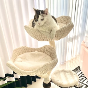 Pode incluir: Um gato branco com marcas cinzas senta-se numa &aacute;rvore de gato cor de creme com duas camas e uma plataforma redonda. A &aacute;rvore de gato &eacute; feita de tecido tecido e tem uma base de madeira natural.