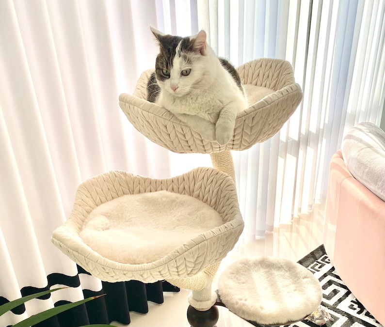 Pode incluir: Um gato branco com marcas cinzas senta-se numa &aacute;rvore de gato cor de creme com duas camas e uma plataforma redonda. A &aacute;rvore de gato &eacute; feita de tecido tecido e tem uma base de madeira natural.