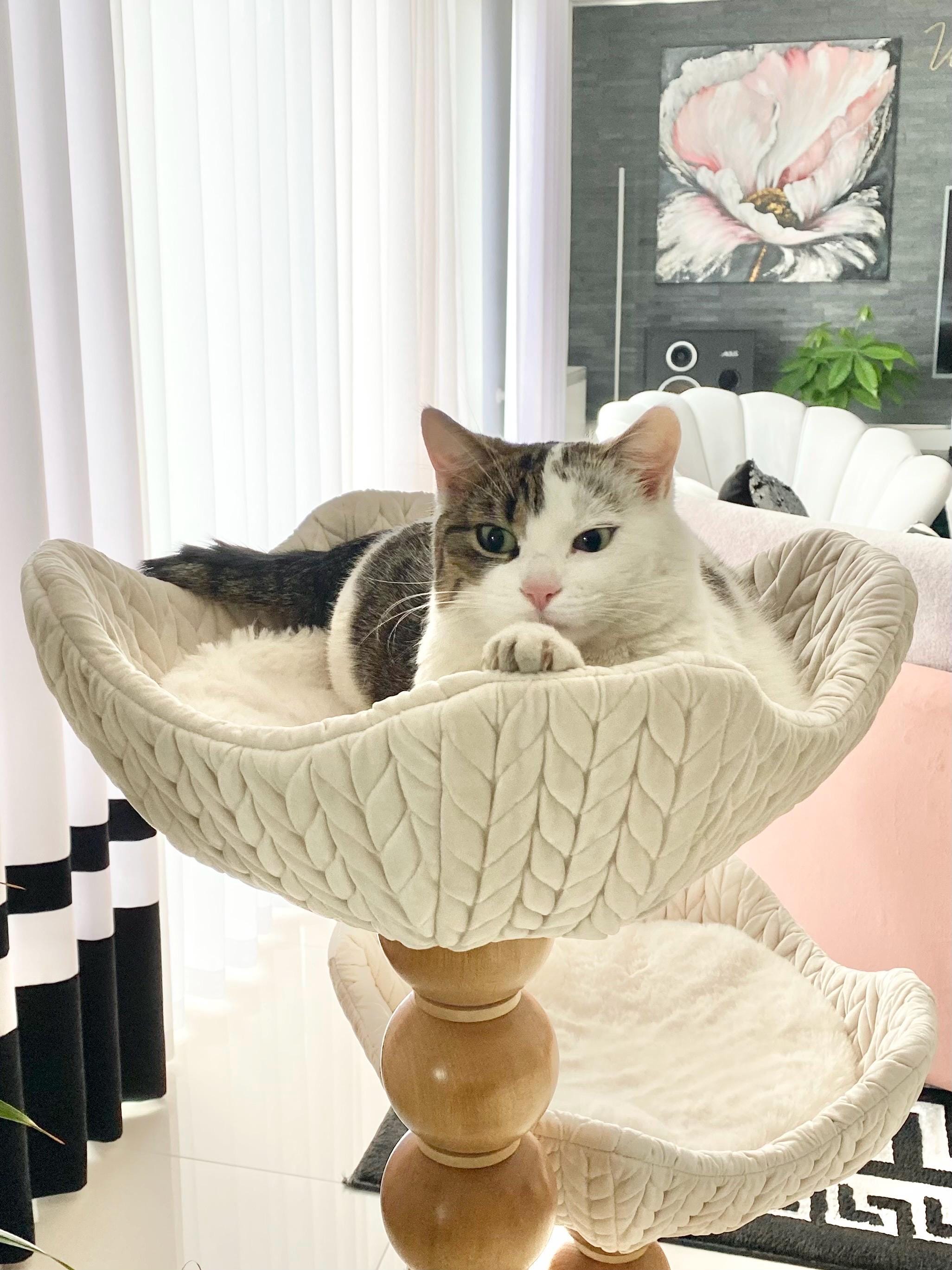 Cat Bed Whisker City Cat Tree Replacement Parts Rural King Whisker