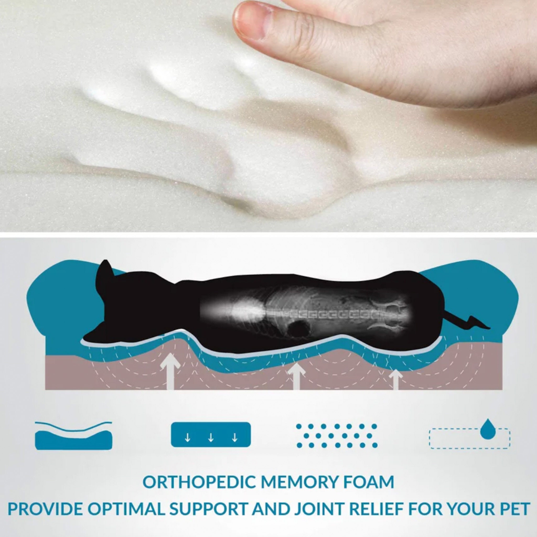 Picture of Modern Orthopedic Luxury Cat Couch, Dog Couch, Pet Couch, Cat Bed, Dog ...