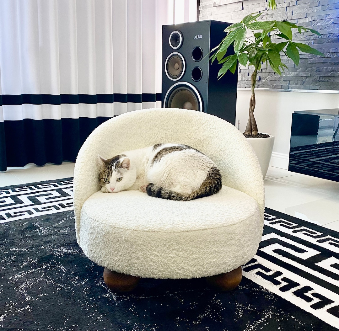 Modern Orthopedic Luxury Cat Couch, Dog Couch, Pet Couch, Cat Bed, Dog