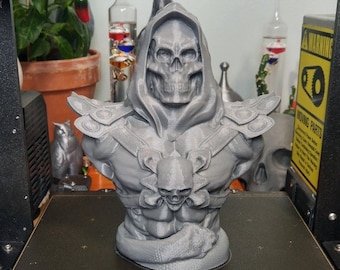 Skull Bust Stl, Skeletor 3d Figure, Assasin Skull Stl, 3d Printer Stl Files, 3d Printing Stl, Best Stl, Stl Files, Stl File 3d Printing