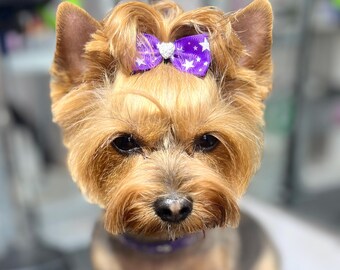 Purple Dog Bow with Gold Heart: Small Dog Hair Accessory (2.5 x 5 cm)