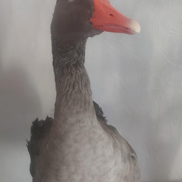 Graugans - Tierfigur