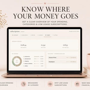 May include: A rose gold laptop displays a financial overview with the text "KNOW WHERE YOUR MONEY GOES." The screen shows spending categories and subscription details. A vase with dried flowers and a pink mug are on the table.