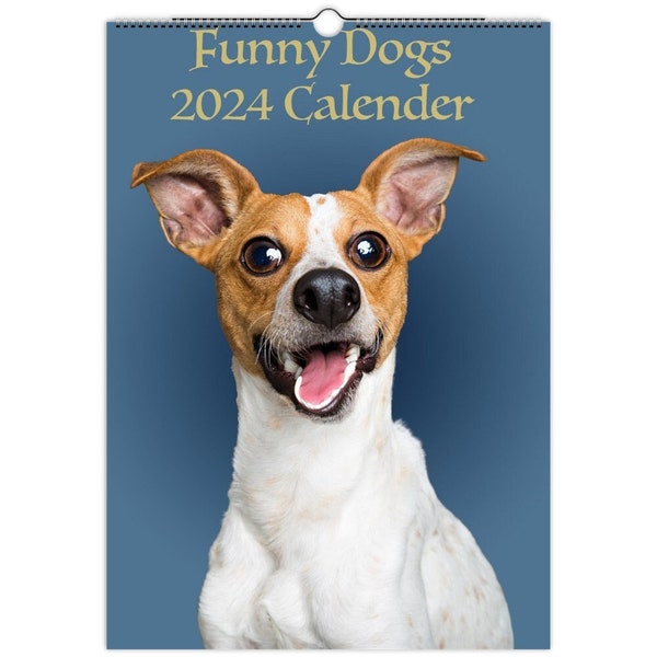 Funny Calendar Etsy