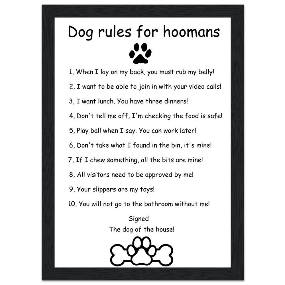 Dog Rules Ready to Hang Poster, Funny Dog Rules, Premium Matte Paper