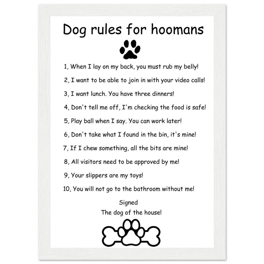 Dog Rules Ready to Hang Poster, Funny Dog Rules, Premium Matte Paper