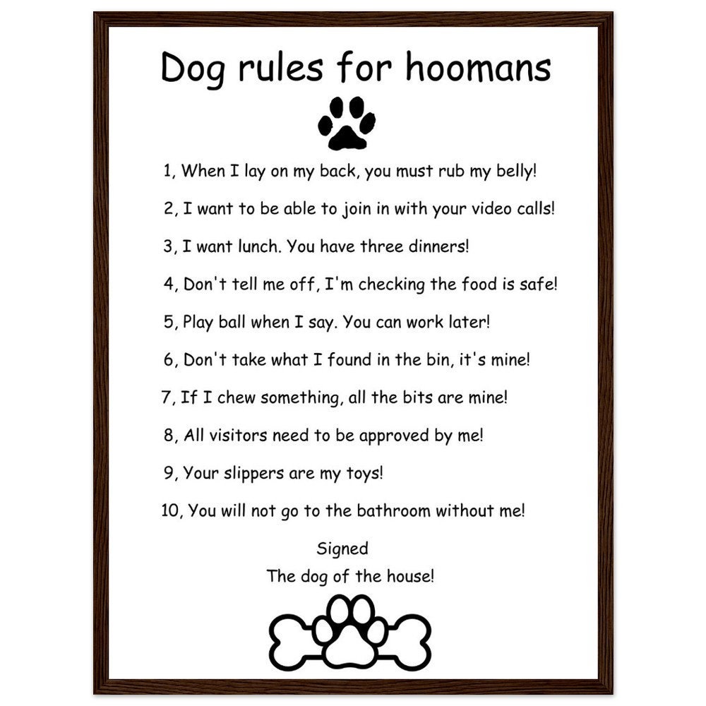 Dog Rules Ready to Hang Poster, Funny Dog Rules, Premium Matte Paper ...