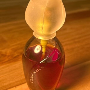 Chloe narcisse outlet 100ml superdrug
